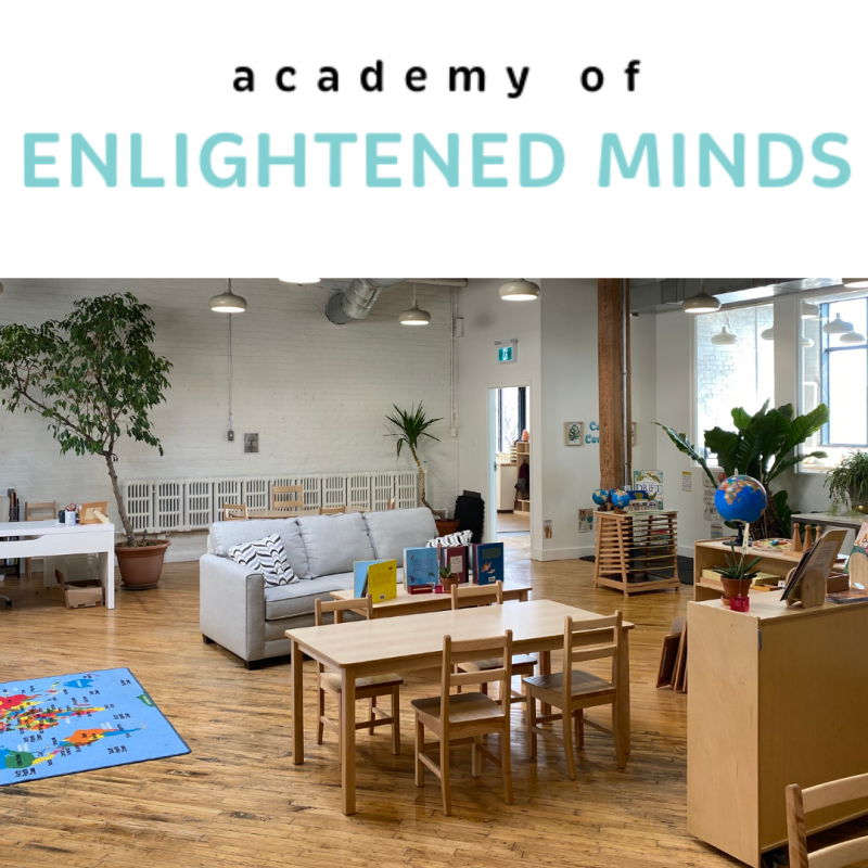 Academy of Enlightened Minds